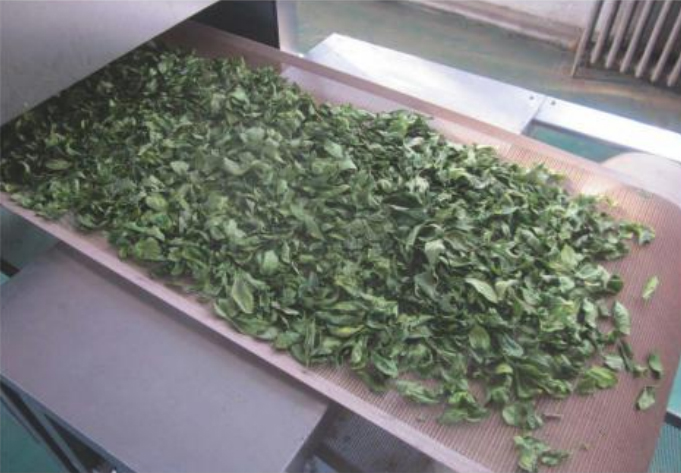 花卉烘干杀青设备