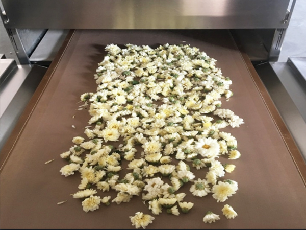 Chrysanthemum Drying And Fixing Machine